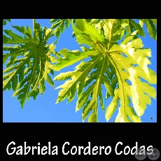 Fotografía de Gabriela Cordero Codas